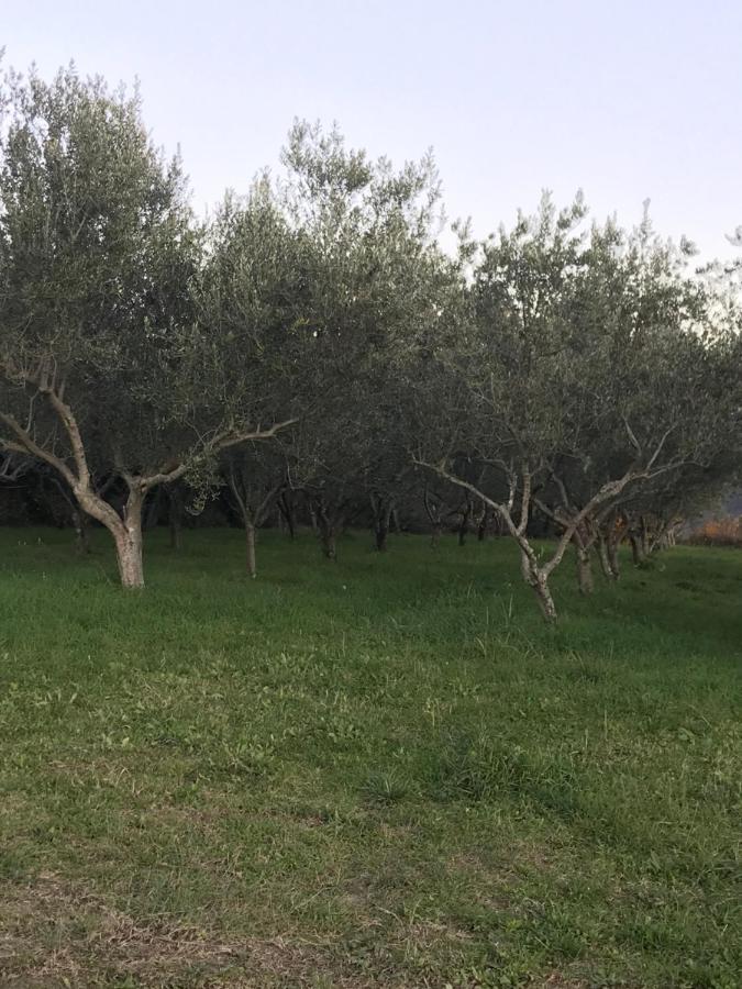فيلا Istrska Hisa Centurium ماريزيج المظهر الخارجي الصورة